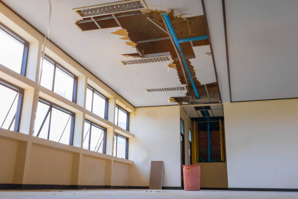 Best Flood damage cleanup  in Falls Church, VA