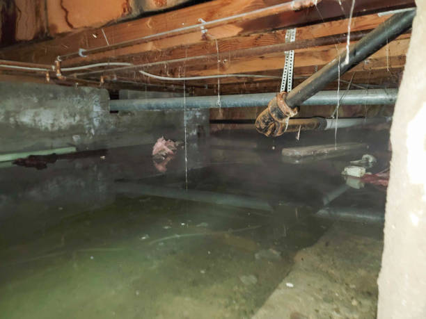 Best Basement water damage restoration  in Falls Church, VA