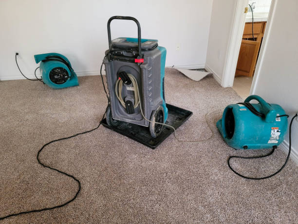 Best Water damage restoration experts  in Falls Church, VA
