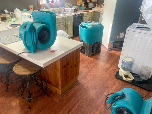Best Water damage restoration process  in Falls Church, VA