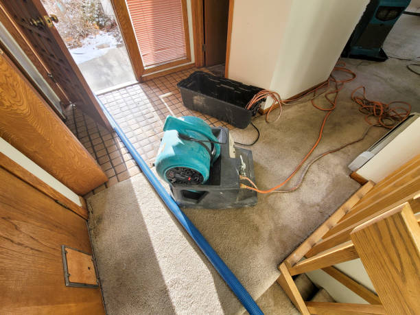 Best Water damage restoration insurance claims  in Falls Church, VA