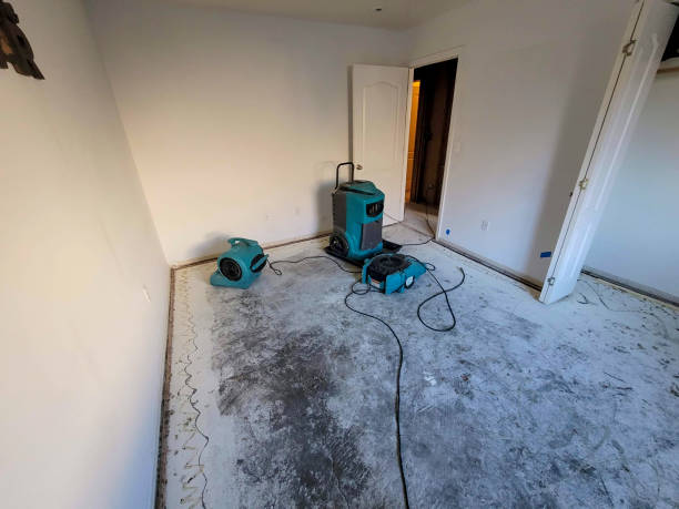 Best Water damage cleanup near me  in Falls Church, VA