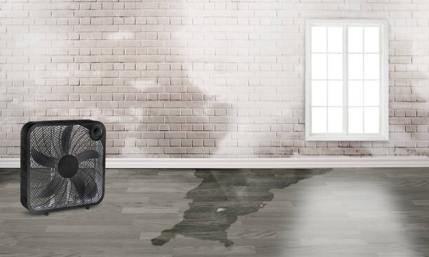 Sewage cleanup and water damage restoration in Falls Church, VA