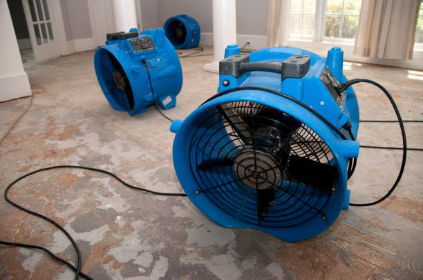 Best Local water damage restoration  in Falls Church, VA