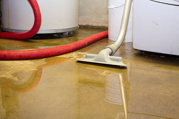 Best Flood restoration services  in Falls Church, VA