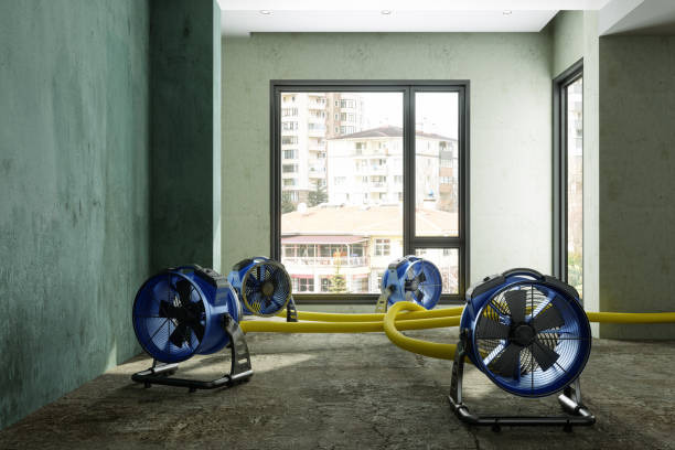24/7 water damage repair in Falls Church, VA