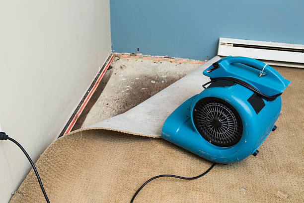 Best Fire Damage Restoration  in Falls Church, VA